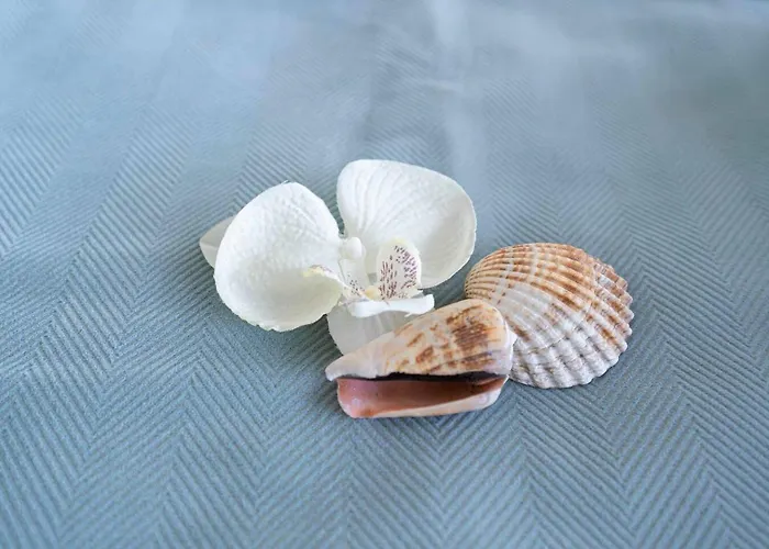 Feel The Ocean - Do Cabedelo Holiday home