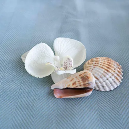 Feel The Ocean - Do Cabedelo Tatil Evi